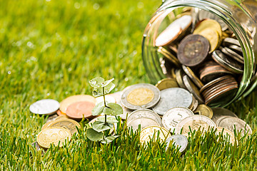 Image showing Plant growing in Coins glass jar for money on green grass