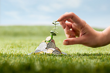 Image showing Coins on grass