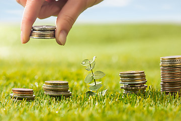 Image showing The columns of coins on grass