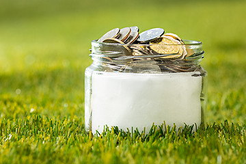 Image showing Plant growing in Coins glass jar for money on green grass