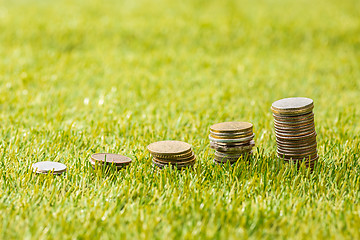 Image showing The columns of coins on grass