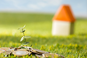 Image showing Plant growing in Coins glass jar for money on green grass