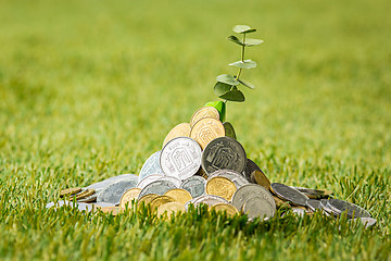 Image showing Coins on grass