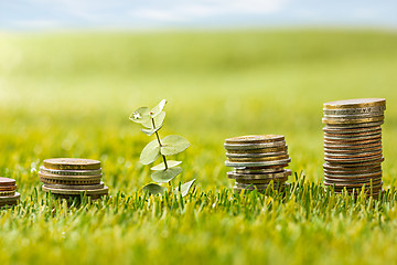 Image showing The columns of coins on grass