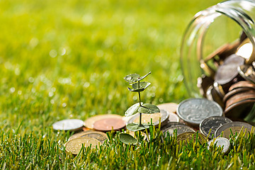 Image showing Plant growing in Coins glass jar for money on green grass