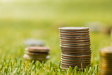 Image showing The columns of coins on grass