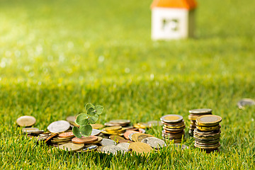 Image showing Plant growing in Coins glass jar for money on green grass