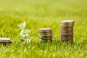 Image showing The columns of coins on grass