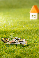 Image showing Plant growing in Coins glass jar for money on green grass