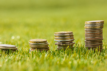 Image showing The columns of coins on grass