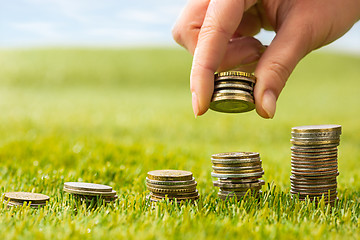 Image showing The columns of coins on grass