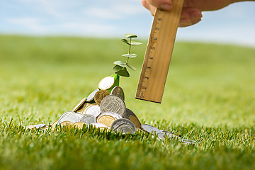 Image showing Coins on grass