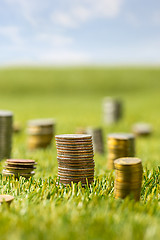 Image showing The columns of coins on grass