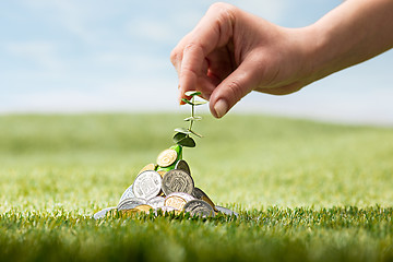 Image showing Coins on grass