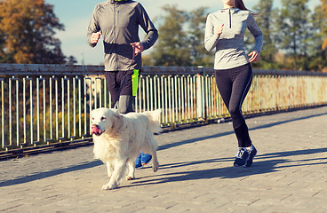 Image showing close up of couple with dog running outdoors