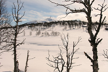 Image showing Winter in the muintain