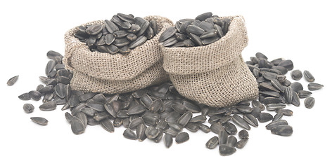 Image showing sunflower seeds