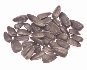 Image showing sunflower seeds