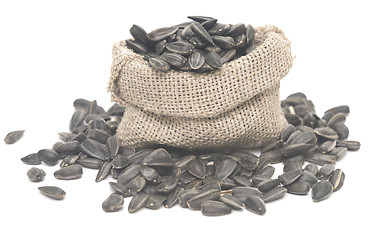 Image showing sunflower seeds