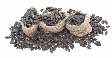 Image showing sunflower seeds