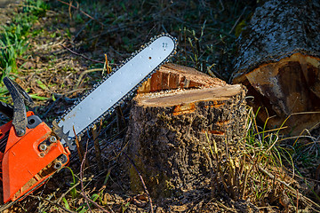 Image showing Chainsaw