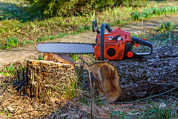 Image showing Chainsaw