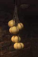 Image showing Domestic cheese ripening produced