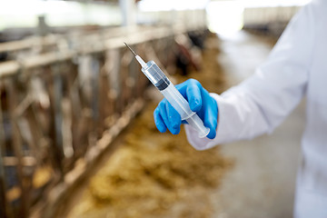 Image showing veterinarian hand with vaccine in syringe on farm