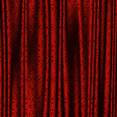 Image showing curtain