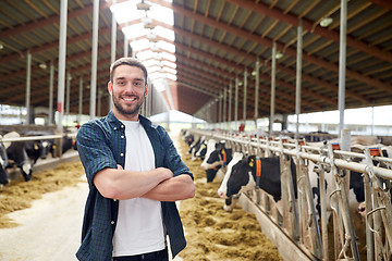 Image showing man or farmer with cows in cowshed on dairy farm