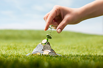 Image showing Coins on grass