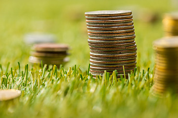 Image showing The columns of coins on grass