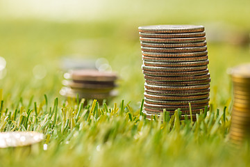 Image showing The columns of coins on grass