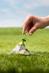 Image showing Coins on grass