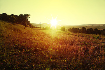 Image showing meadow in rural areas