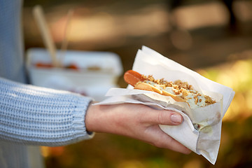 Image showing close up of hand with hot dog