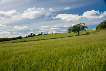 Image showing Scandinavian Skies