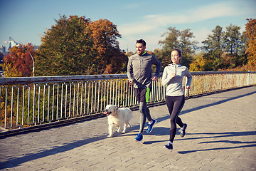 Image showing happy couple with dog running outdoors