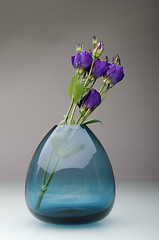 Image showing Pastel flowers in vase