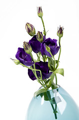 Image showing Pastel flowers in vase