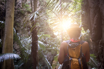 Image showing Brunette among thickets of palms