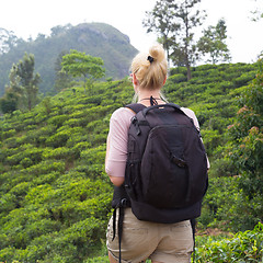 Image showing Female tourist enjoying beautiful nature of tea plantations, Sri Lanka.