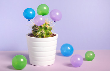 Image showing Cactus in pot and small baloons