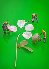 Image showing Miniature figures working to create spring flower