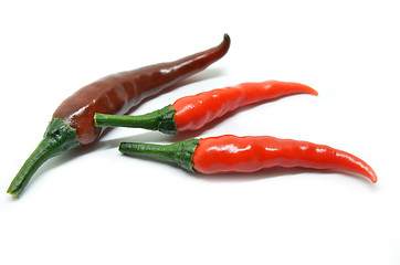 Image showing Red chili pepper