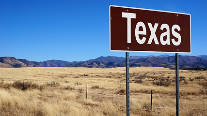 Image showing Texas brown road sign