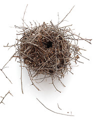 Image showing Nest