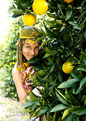 Image showing pretty islam woman in orange grove smiling, real muslim girl che