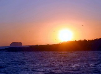 Image showing Galapagos Sunset