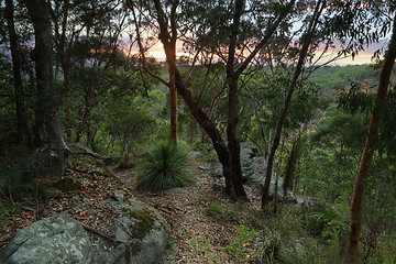 Image showing Sunrise Glenbrook , Blue Mountains Australia